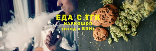 индика Мегион