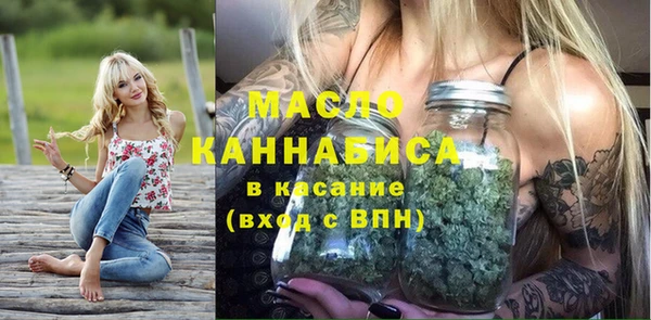 индика Мегион