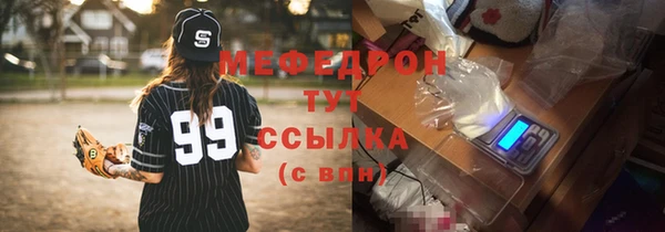 индика Мегион