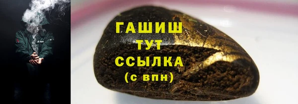 индика Мегион
