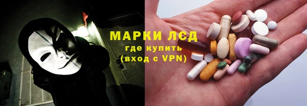 индика Мегион