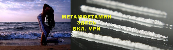 индика Мегион