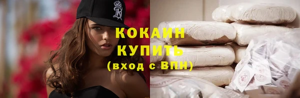 индика Мегион