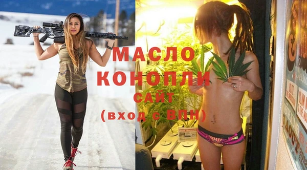 индика Мегион