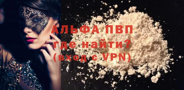 индика Мегион