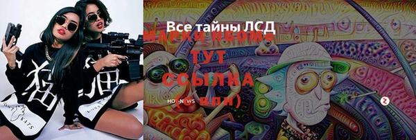 соль ск Медногорск