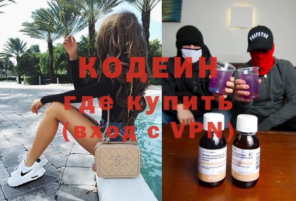 индика Мегион