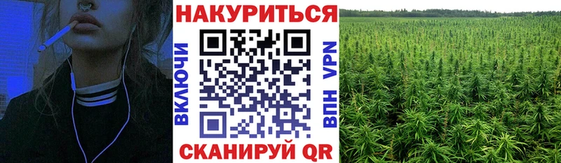 Бошки Шишки индика  Новосибирск 